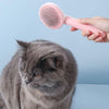 Plastic Grey Pet Cat Head Comb With Cleaning Needle, Shedding Massager, Dog Hair Removal Brush