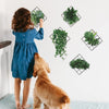Load image into Gallery viewer, 3D Wall Stickers - Plants (Pack Of 5)